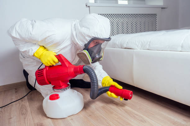 Best Bed Bug Extermination  in Crooked Lake Park, FL