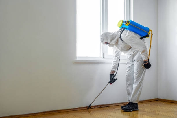 Insect Control in Crooked Lake Park, FL