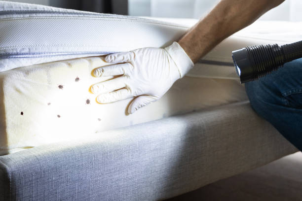 Best Pest Control Near Me  in Crooked Lake Park, FL